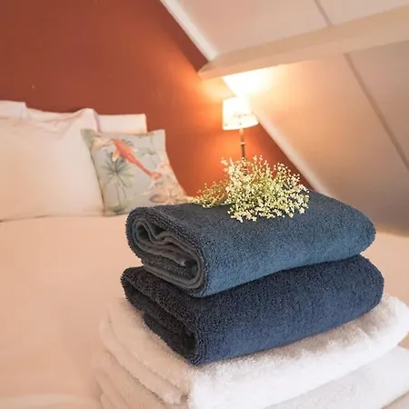 Apartment Hosted By Wendy Old Charming